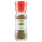 Parte anteriore planogramma