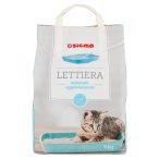 Angolato - Parte anteriore, superiore