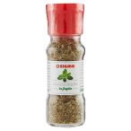 Parte anteriore planogramma