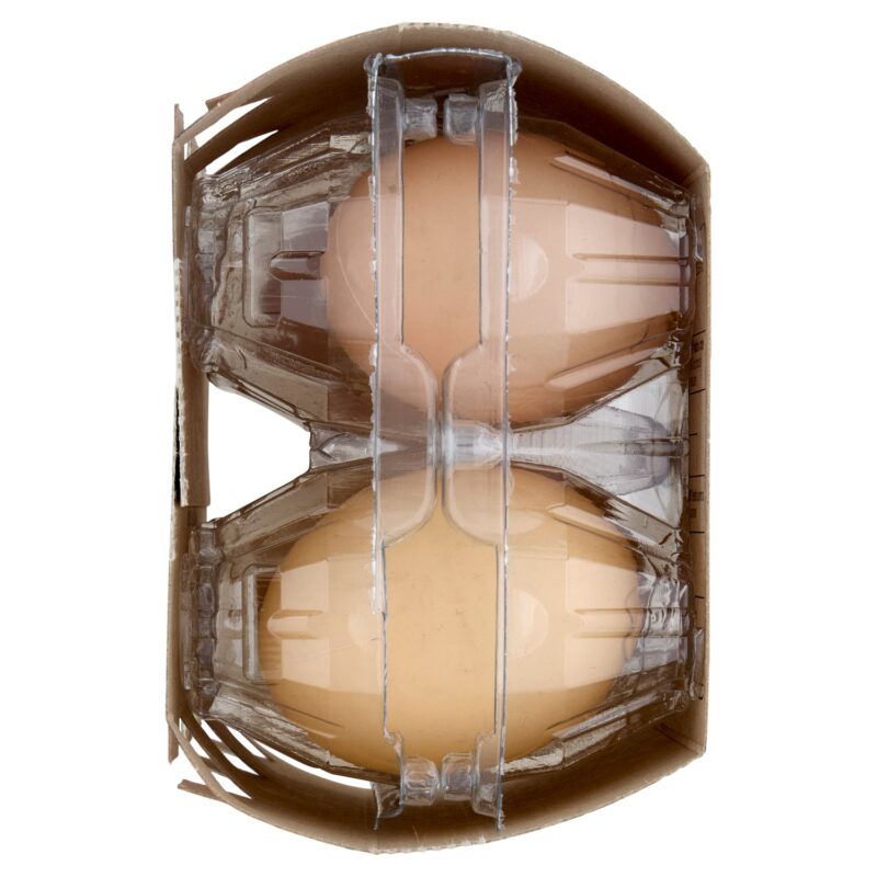 Sigma 6 Uova Fresche medie da allevamento a terra