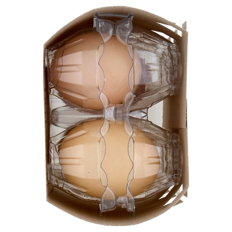 Sigma 6 Uova Fresche medie da allevamento a terra