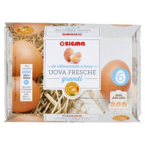 Sigma 6 Uova Fresche grandi da allevamento a terra