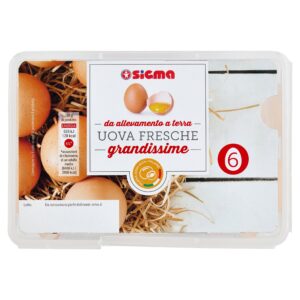 Sigma 6 Uova Fresche grandissime da allevamento a terra