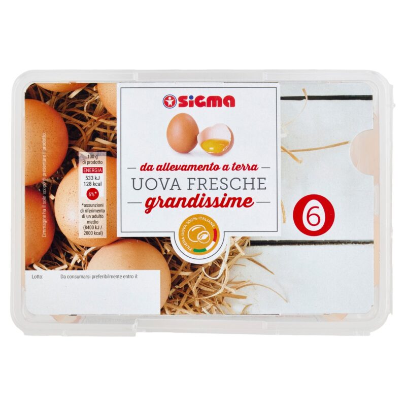 Sigma 6 Uova Fresche grandissime da allevamento a terra