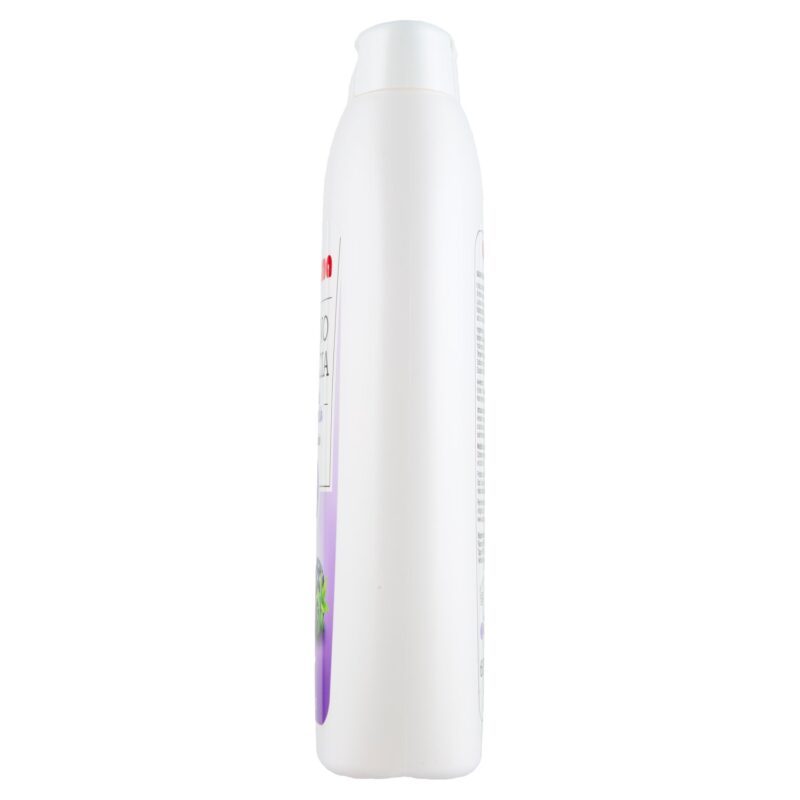 Sigma Bagno Doccia mora e muschio avvolgente 600 ml