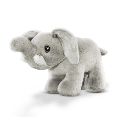 Cards Singoli Premi Short 800x800 Elefante