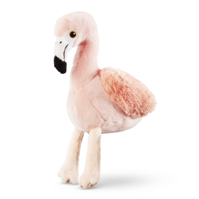 Cards Singoli Premi Short 800x800 Fenicottero