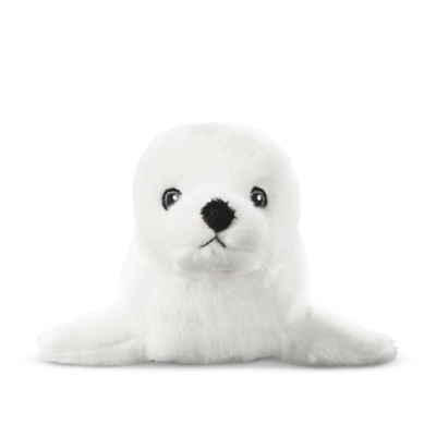 Cards Singoli Premi Short 800x800 Foca