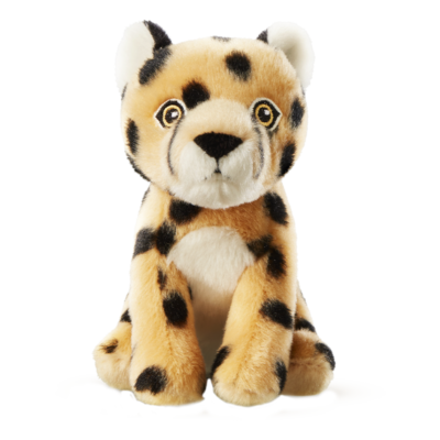 Cards Singoli Premi Short 800x800 Ghepardo