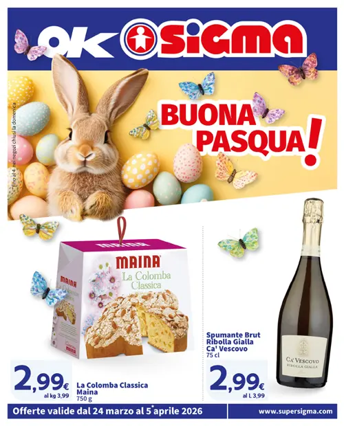 Copertina del volantino