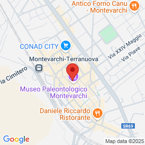 Mappa del negozio