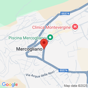 Mappa del negozio
