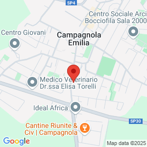 Mappa del negozio