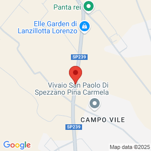 Mappa del negozio