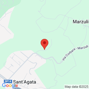Mappa del negozio